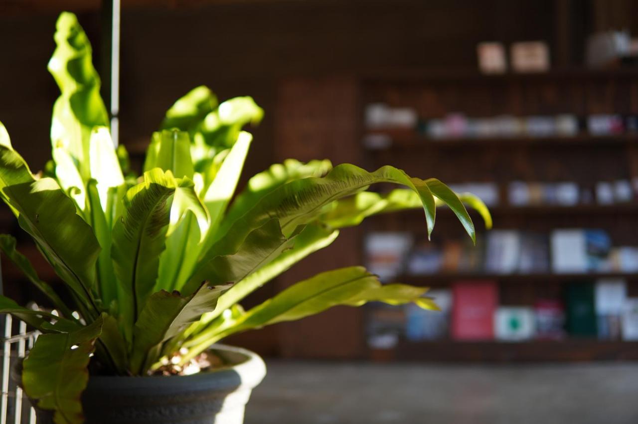 Hostel Niniroom Kyoto Ngoại thất bức ảnh