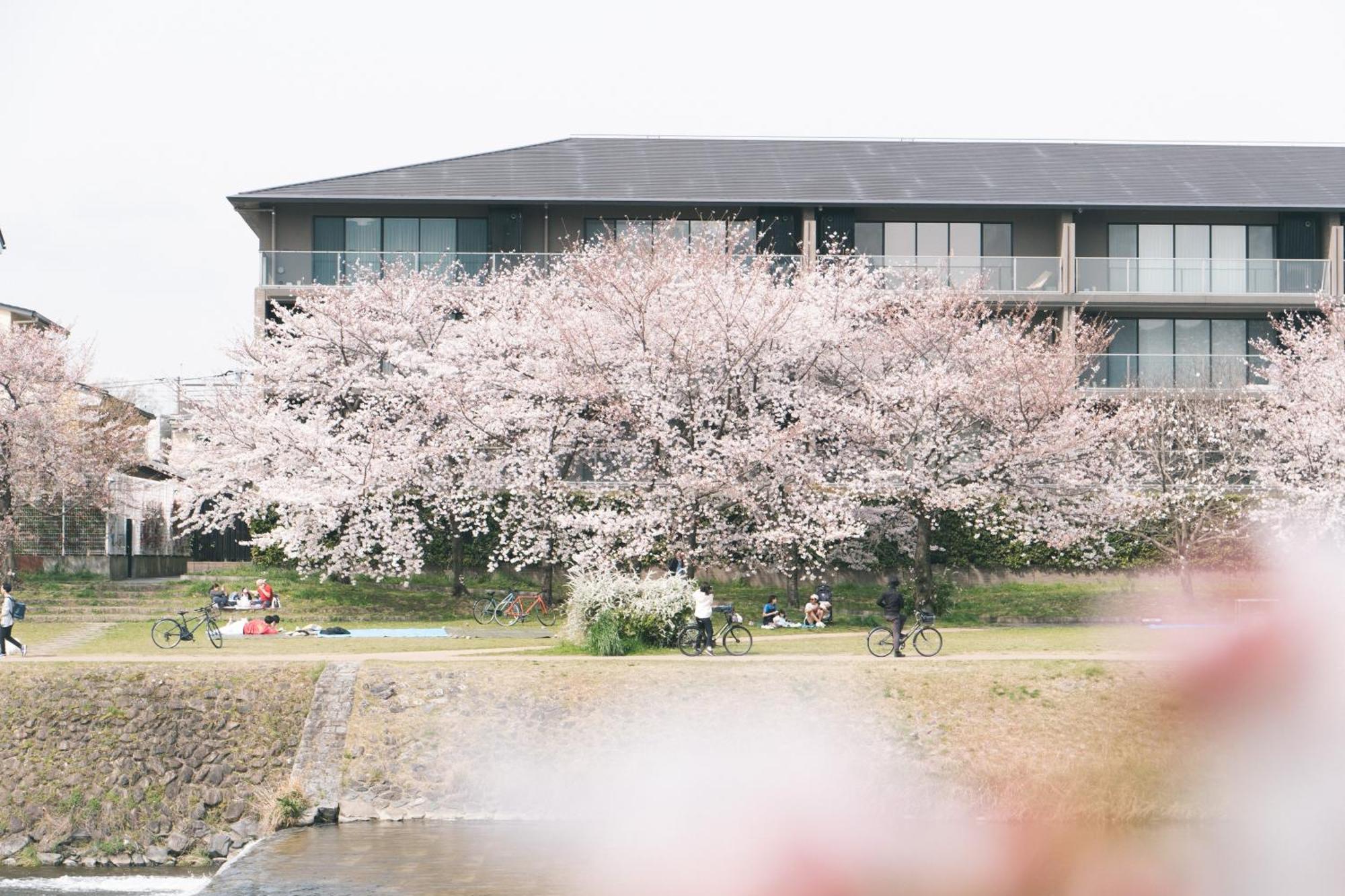 Hostel Niniroom Kyoto Ngoại thất bức ảnh